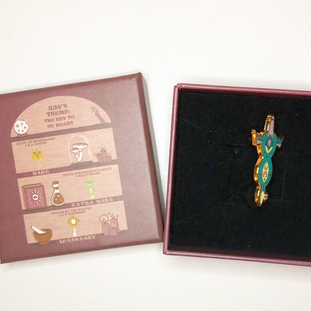 The bookish box cabinet of curiosities pin inspired by stars and shadows series
